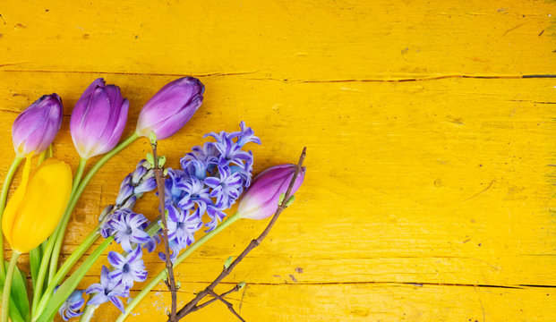 Fototapeta Tulpen und Hyazinthe auf gelben Holz, Grußkarte