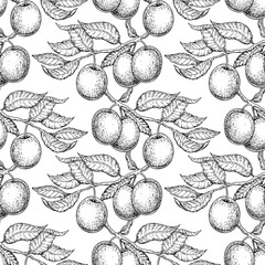 Plum branch seamless pattern. Vector drawing. Hand drawn isolate