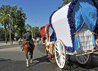 Caballos y carretas, hermandad del Rocío a través de las calles de Sevilla al comienzo de la romería del Rocío celebrada cada primavera con gran devoción popular.