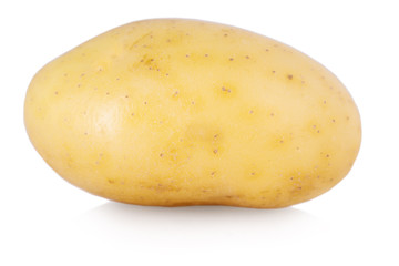 one young potatoes isolated on white