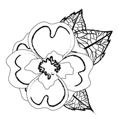 cute jasmine flower with leafs decorative