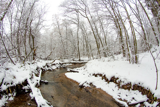 Small forest river in winter day
