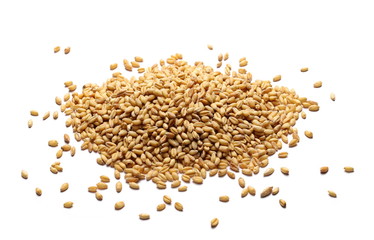 Wheat grains, pile isolated on white background
