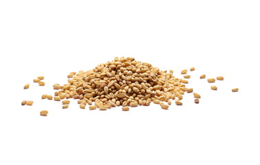 Wheat grains, pile isolated on white background