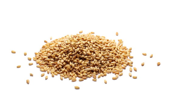 Wheat grains, pile isolated on white background