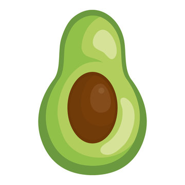fresh avocado vegetable icon vector illustration design