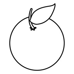 orange citrus fruit icon vector illustration design