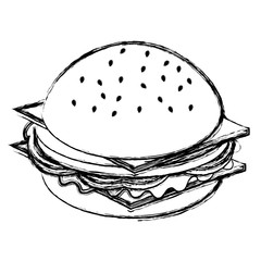 delicious burger isolated icon vector illustration design