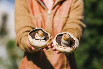 the girl is holding fresh juicy big white mushrooms