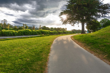Fototapeta na wymiar Walkway alongside the river Manawatu in Palmerston North