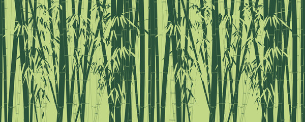 Bamboo plant texture on green background