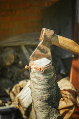 ax in the logs of fruit tree