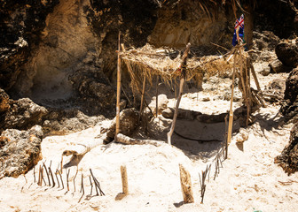Australian Beach Hut
