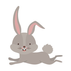 cute rabbit running easter celebration