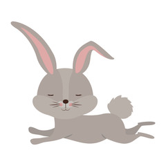 cute rabbit running easter celebration