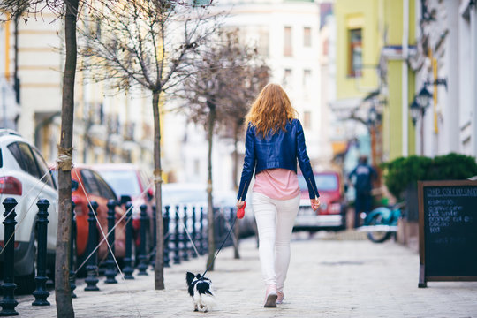 A young red-haired Caucasian woman is walking along a European street with a small Chihuahua breed dog of two colors on a leash rear view. Girl Dressed in a leather jacket and pink shoes
