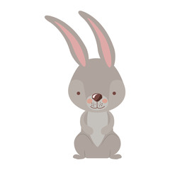 cute rabbit easter celebration