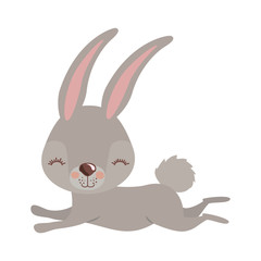 cute rabbit running easter celebration