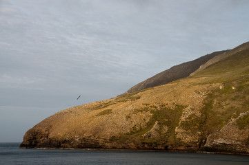 The coast of west-point island. Falkland Islands