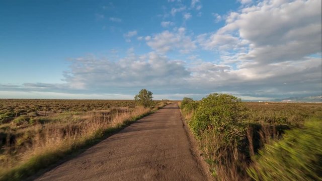 hyperlapse pov shot with a camera attached to the front of an off road vehicle driving along a small road in the delta d'ebro park, spain