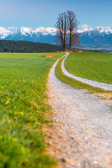 Feldweg zur Linde auf dem Ballenbühl, Emmental