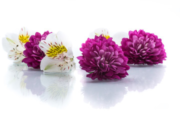 bouquet of beautiful chrysanthemums and lysianthus
