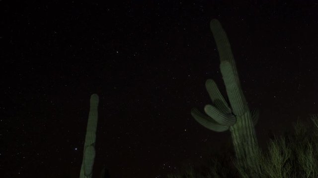 Time lapse of stars moving behind desert Saguaro cactus