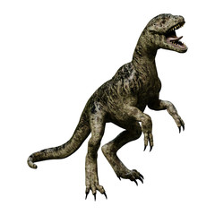 3D Rendering Dinosaur Tyrannosaurus Hatchling on White