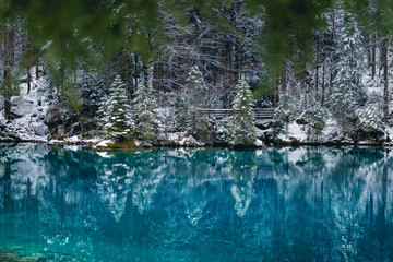Spiegelung verschneiter Tannen am Blausee, Kandersteg, Berner Oberland