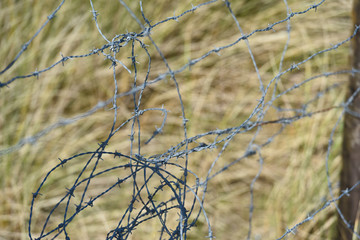 debarquement Normandie 6 juin 1944 Utah Beach