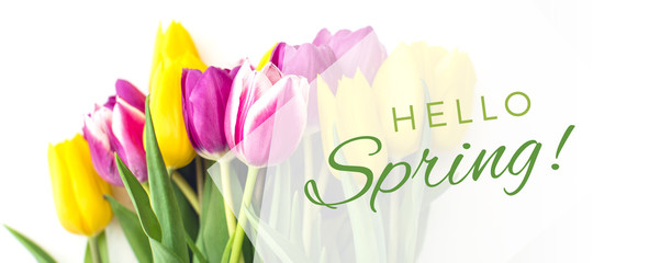 Spring greeting card - pink and yellow tulips © epiximages