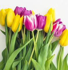 Pink and yellow tulips on a white background