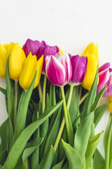 Pink and yellow tulips on a white background