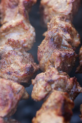 Fresh meat shish kebab fried and smoked on a charcoal grill. Roast the meat close up