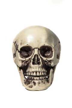 Human skull on white isolated background.