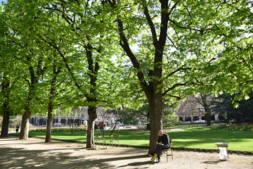Allée ombragée du jardin du Luxembourg à Paris, France