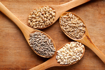Grains and cereals in wooden spoons. Oats, wheat, rye, secale, barley, integral rice.