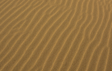Close up of sandy beach