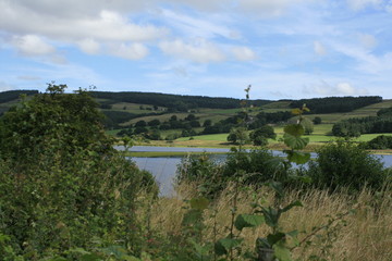 Obraz premium Gouthwaite Reservoir, Nidderdale, England