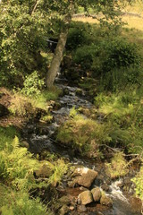 Pateley Bridge, Nidderdale, Yorkshire