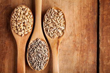 Grains and cereals in wooden spoons. Oats, wheat, rye, secale, barley.