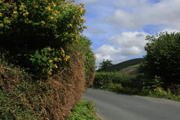Pateley Bridge, Nidderdale, Yorkshire
