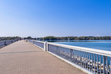 狭山公園の堤防と多摩湖