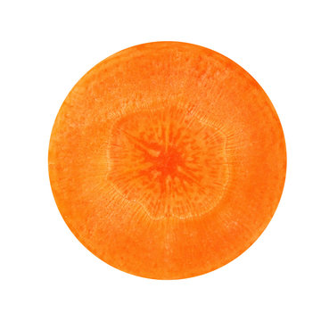carrot circle isolated on white background.