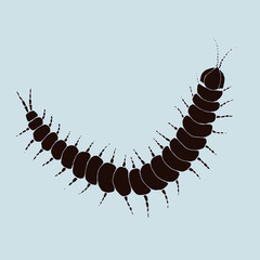 Obraz premium A graphical illustration of a centipede in black