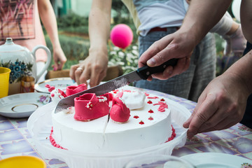 Obraz na płótnie Canvas Female hands with knife who is cutting cake