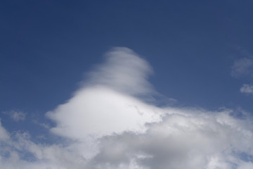 Naklejka na ściany i meble 青空と雲「空想・雲のモンスター」（頭の上にも何かが・・・、ふんわり感などのイメージ）