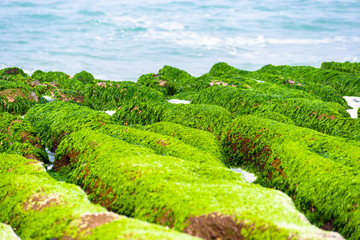 Laomei Green Reef - Taiwan North Coast seasonal features, shot in Shimen District, New Taipei, Taiwan.