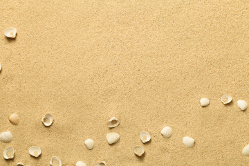 Fototapeta na wymiar Summer, Sand Background with Shells