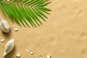 Summer Background with Green Palm Leaf, Fish and Shells